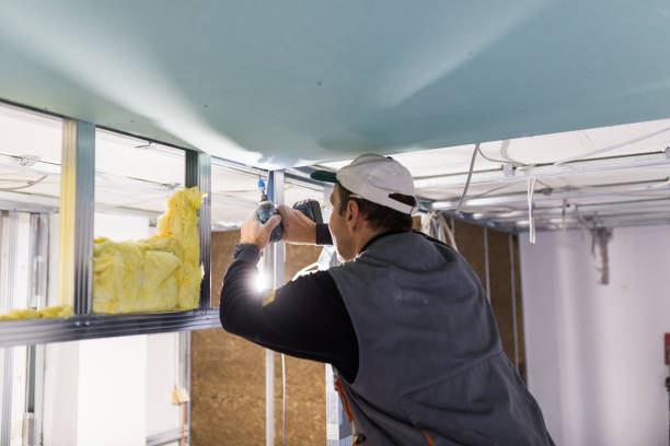 Best Specialized Insulation Services in Boiling Springs, PA